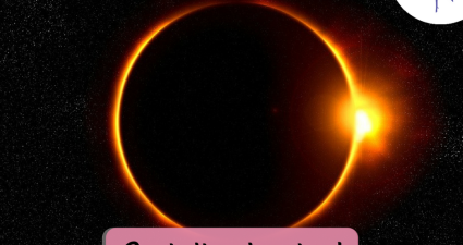 CatchyFreebies sample (11)