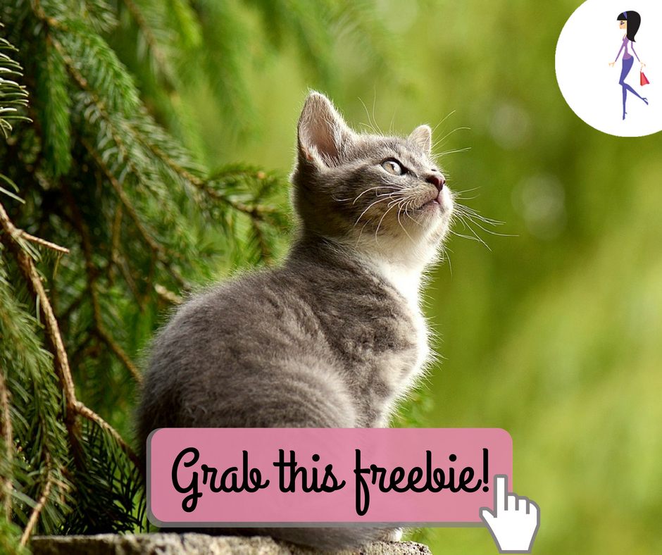 Purina One Cat Food Sample