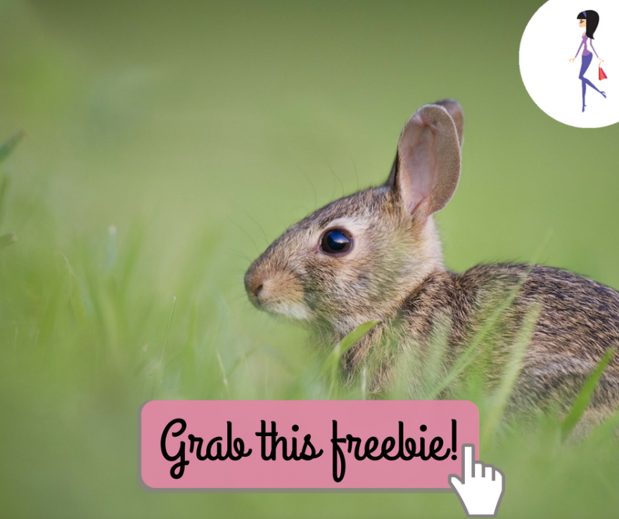 CatchyFreebies sample (47)