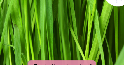 CatchyFreebies sample (52)