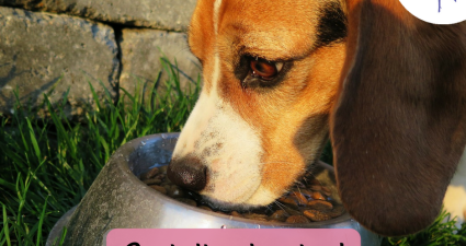 CatchyFreebies sample (20)