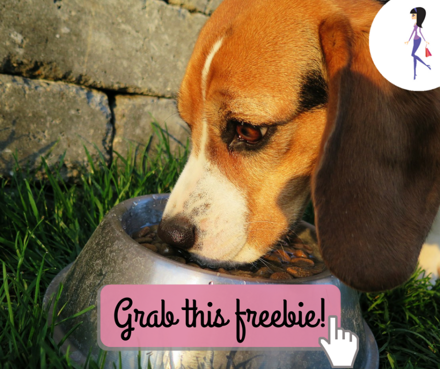 CatchyFreebies sample (20)