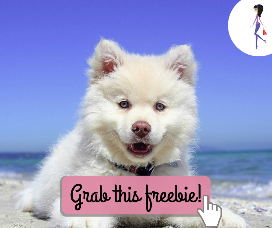 CatchyFreebies sample (2)