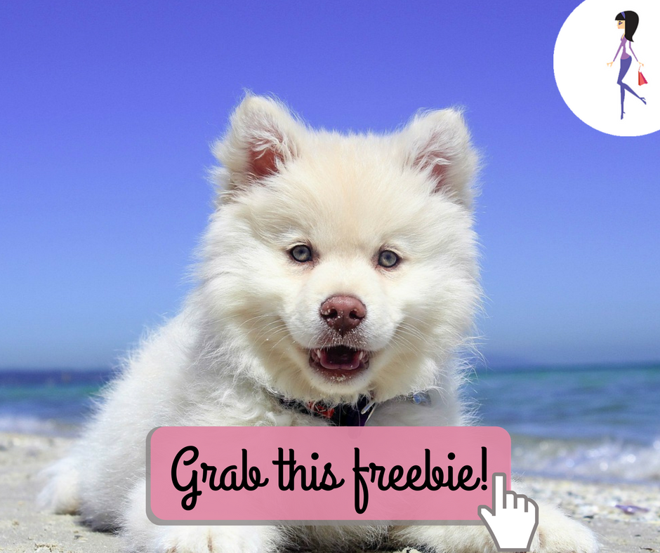 Free Bag of Pet Food