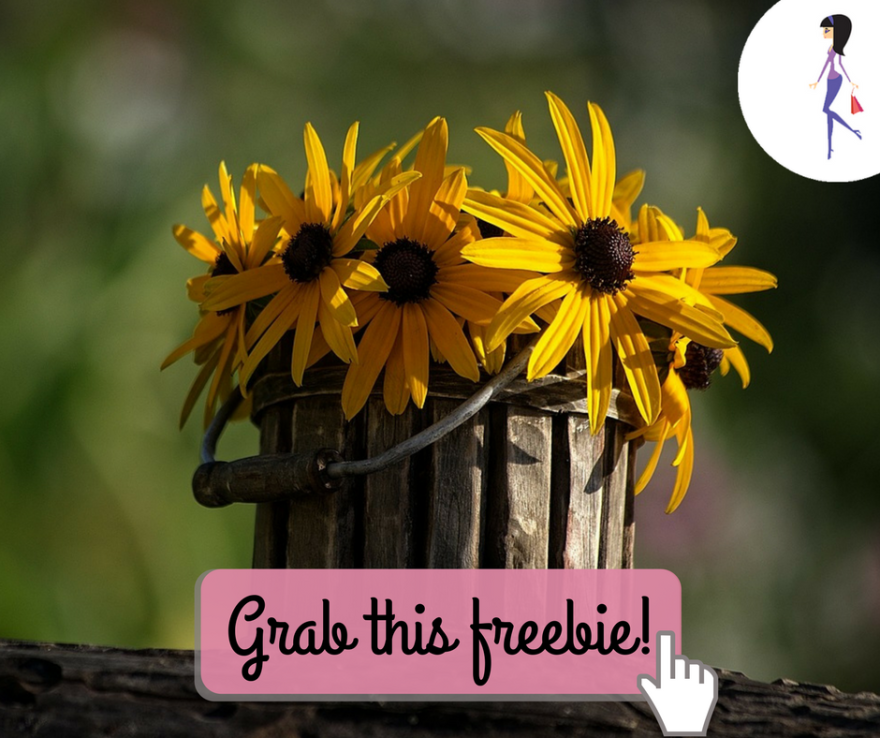 CatchyFreebies sample (17)