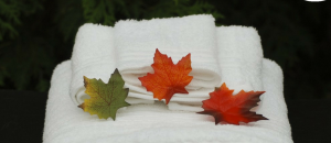 CatchyFreebies sample (21)