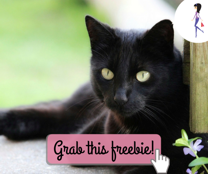 CatchyFreebies sample (12)