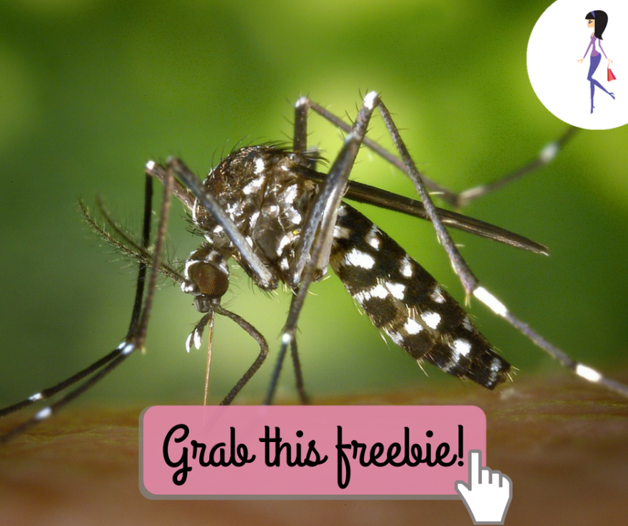 CatchyFreebies sample