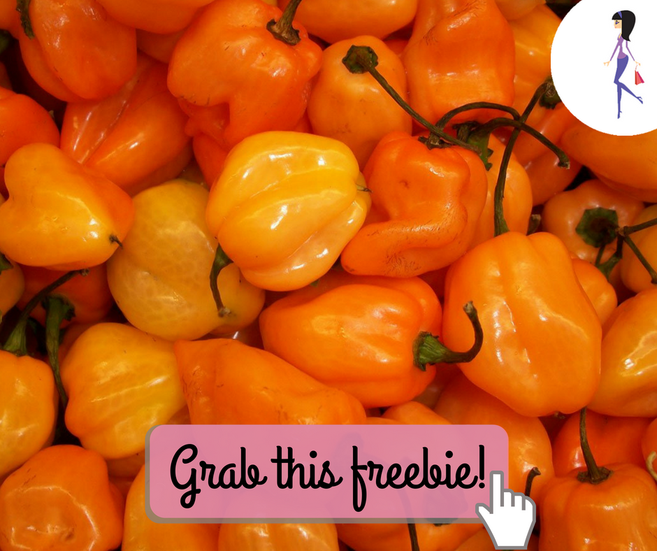 CatchyFreebies sample (2)