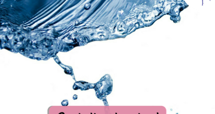 CatchyFreebies sample