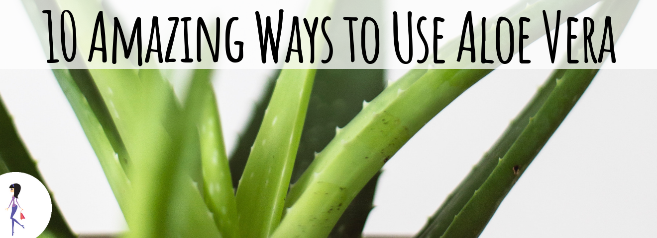 10 Amazing Ways to Use Aloe Vera