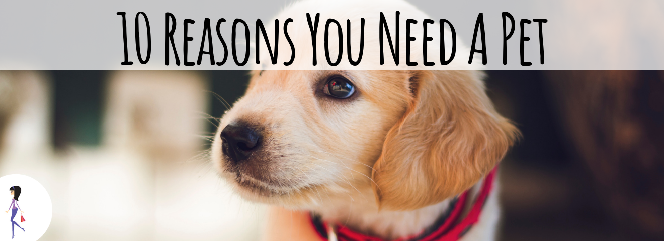 10 Reasons You Need a Pet