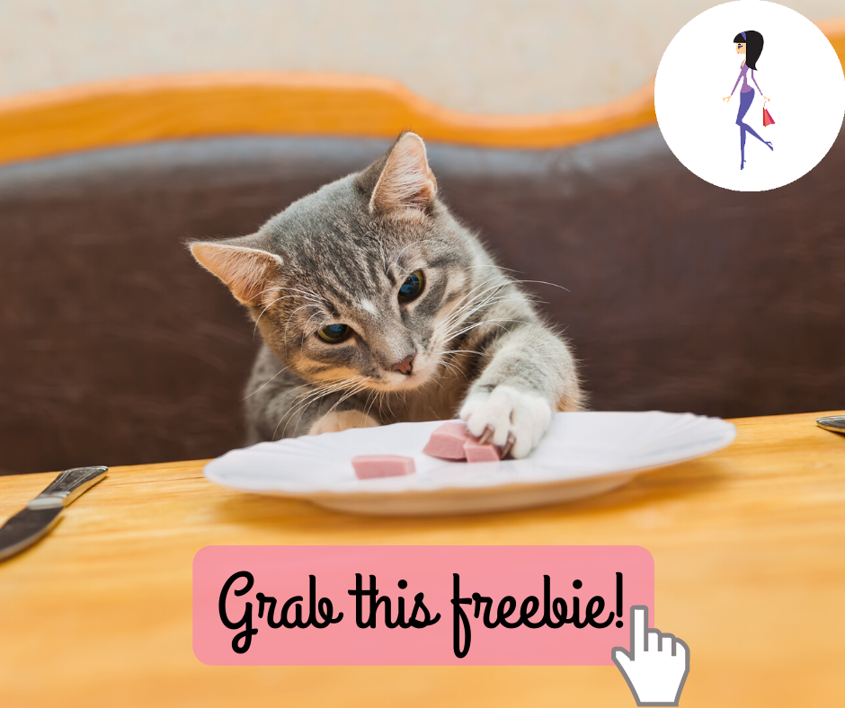 Free Catit Senses 2.0 Cat Digger Slow Feeder CatchyFreebies