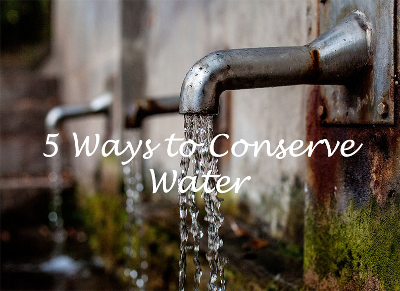 5 Ways to Conserve Water