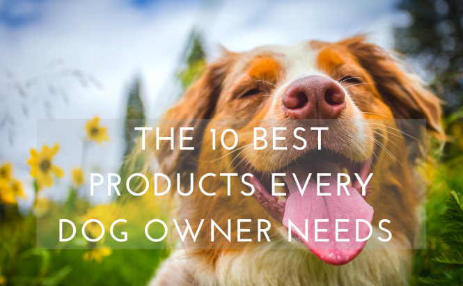 The 10 Best Products Every Dog Owner Needs