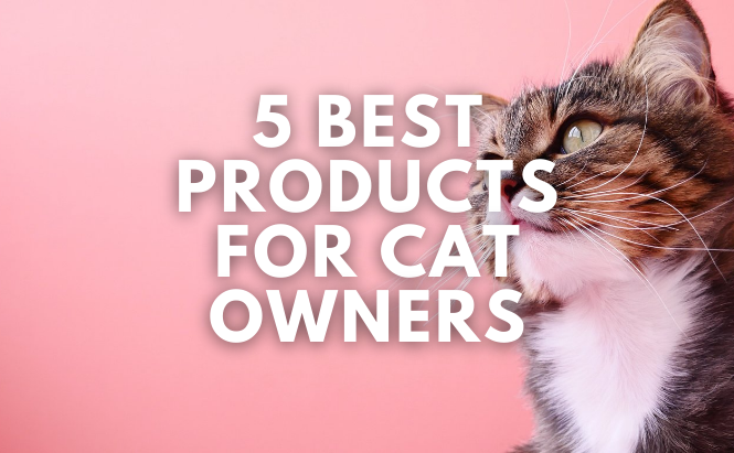 5 Best Products for Cat Owners