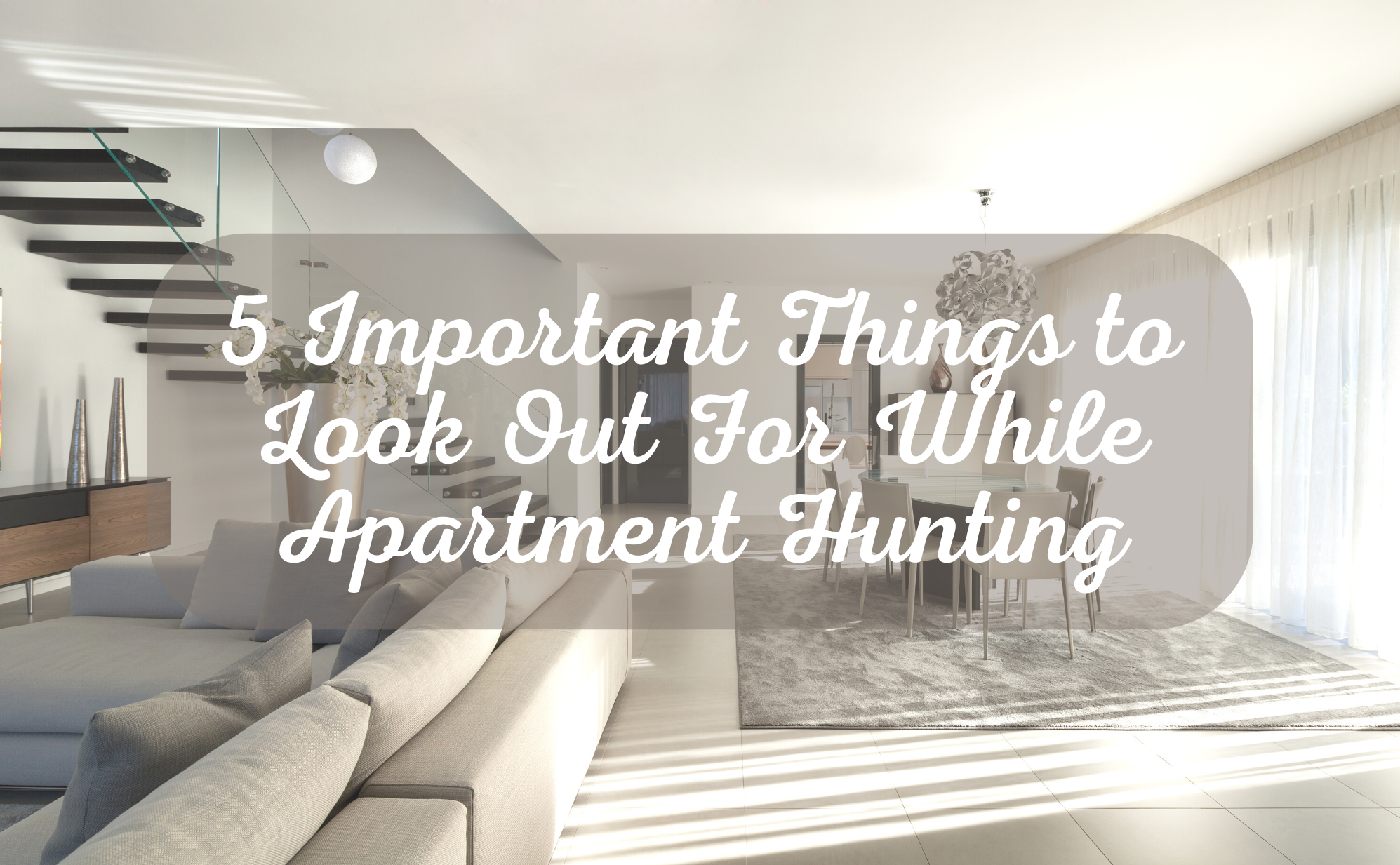 5 Important Things to Look Out For While Apartment Hunting