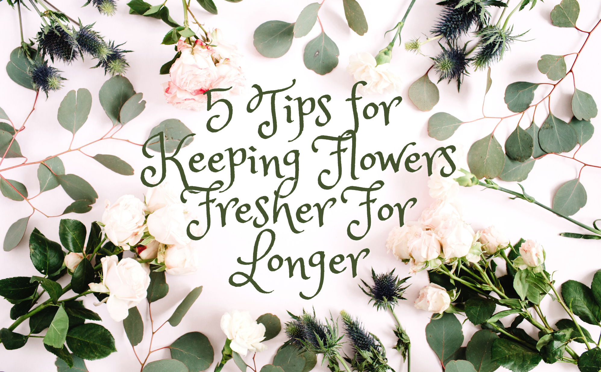 5 Tips for Keeping Flowers Fresher For Longer